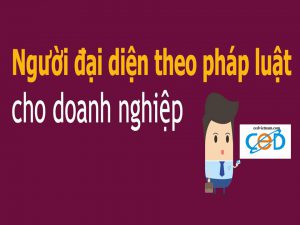 Quy dinh nguoi dai dien theo phap luat